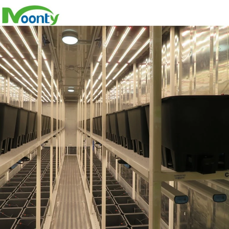 Smart Farm Grow Hydroponics sistema de Agricultura vertical 40HQ contenedor de envío Granja Greenhouse