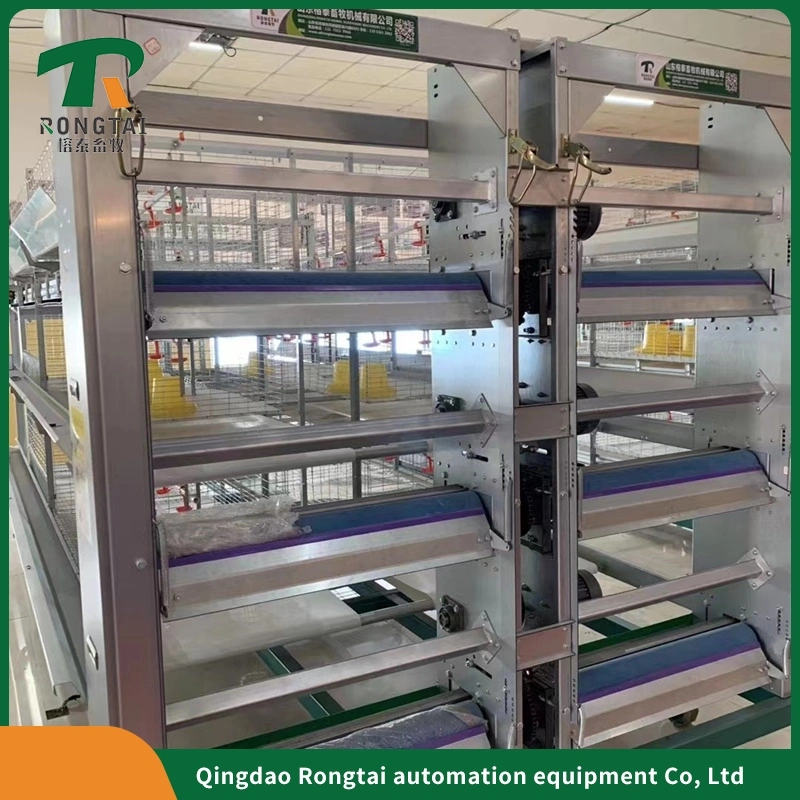 Hot Sale High quality/High cost performance  One-Stop Service Automatic Hens Layer Cage Feeding Equipment for Poultry Farms