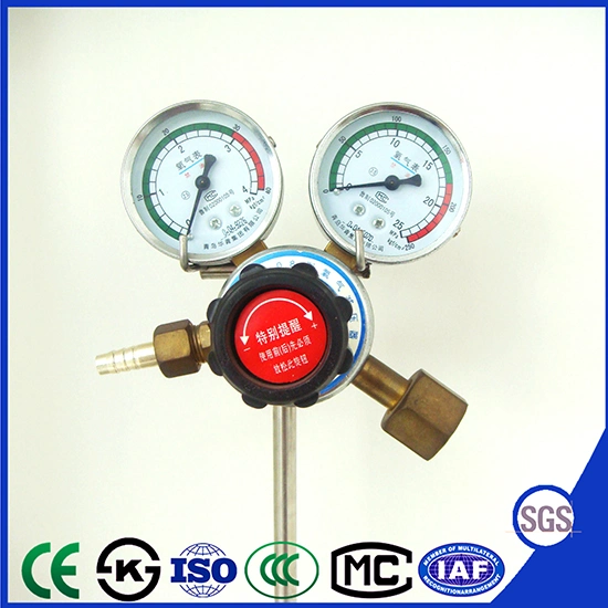 Yqy-08g Oxygen Gas Regulator for Industrial Manufacturing