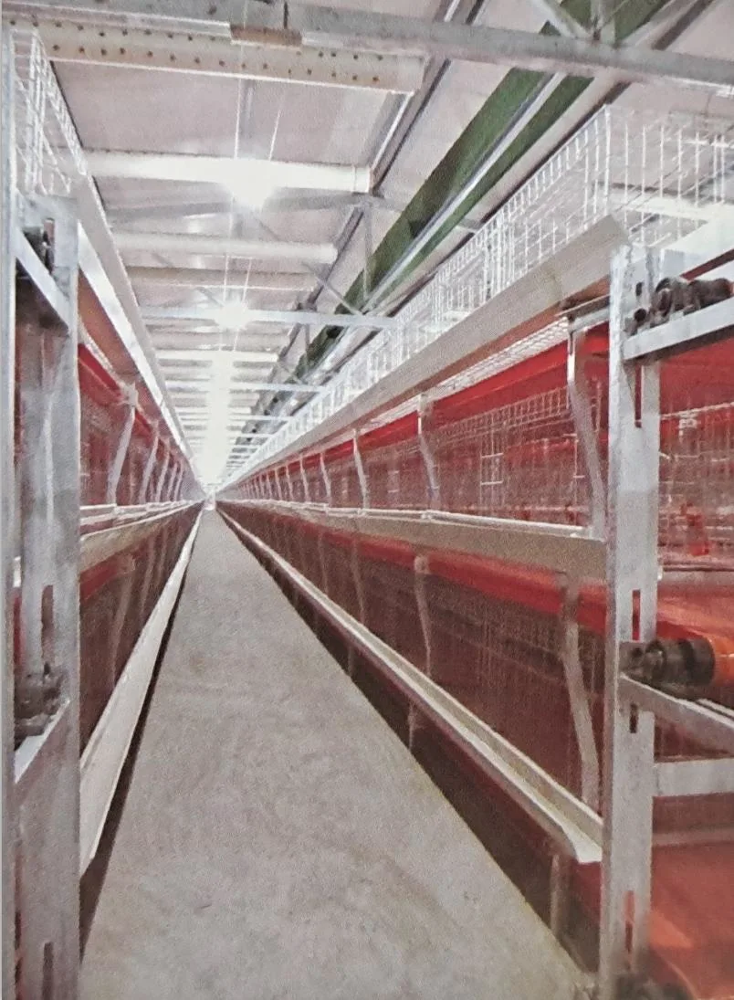 Poultry Feeding Equipment/Livestock Machinery/Equipment/Hot Galvanized Automatic Chicken Farm Poultry Cage System/Battery Layer Cage for Broiler/Poultry Farm