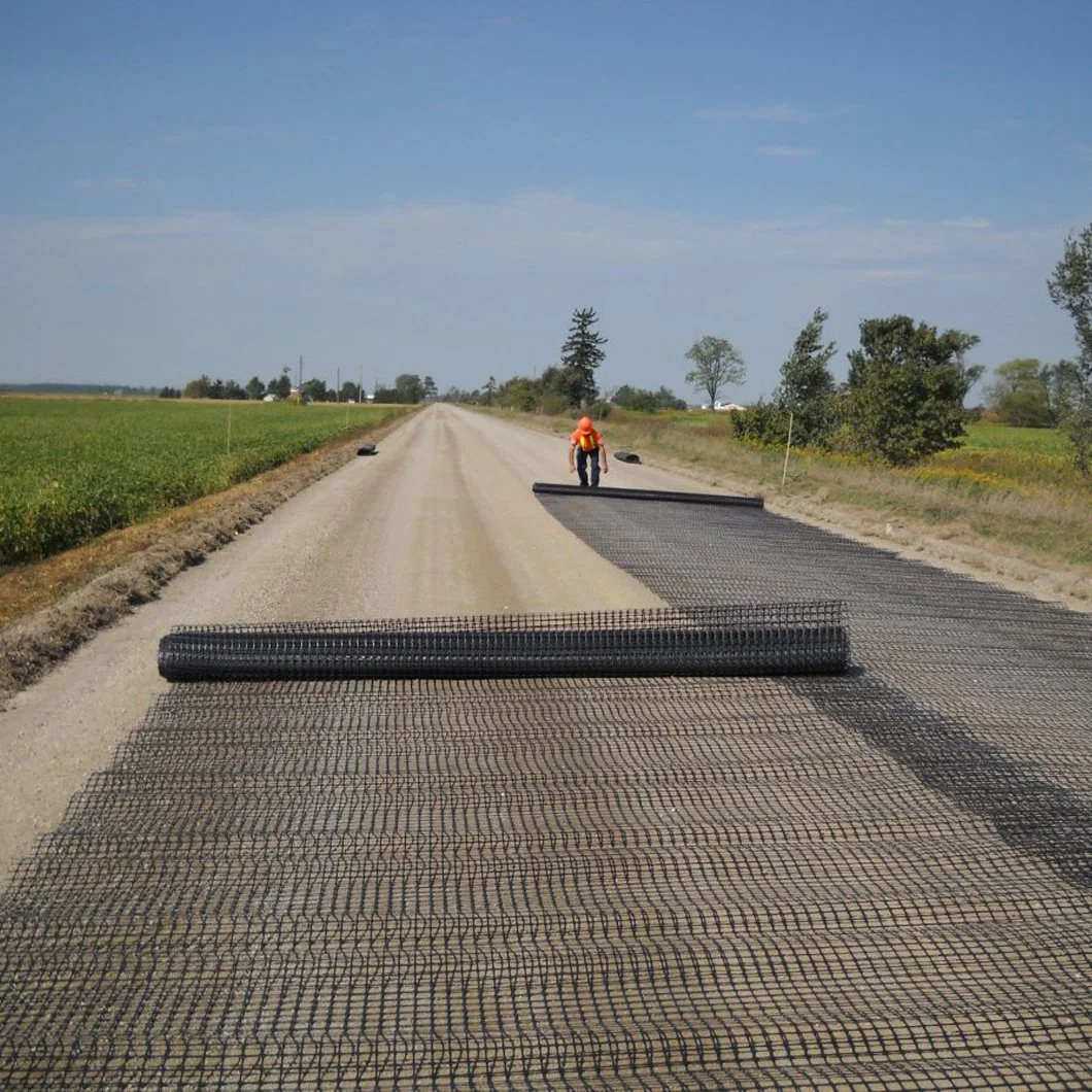 HDPE PP Unidirectional Geogrids Tgdg