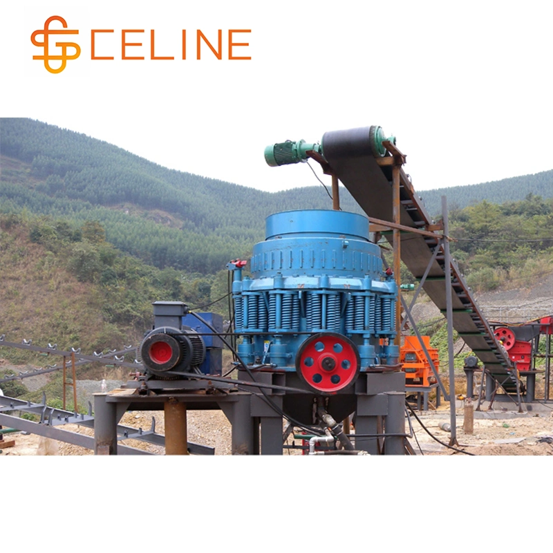 Mineral Ore Processing Line / Gold Ore Dressing Leaching Equipment