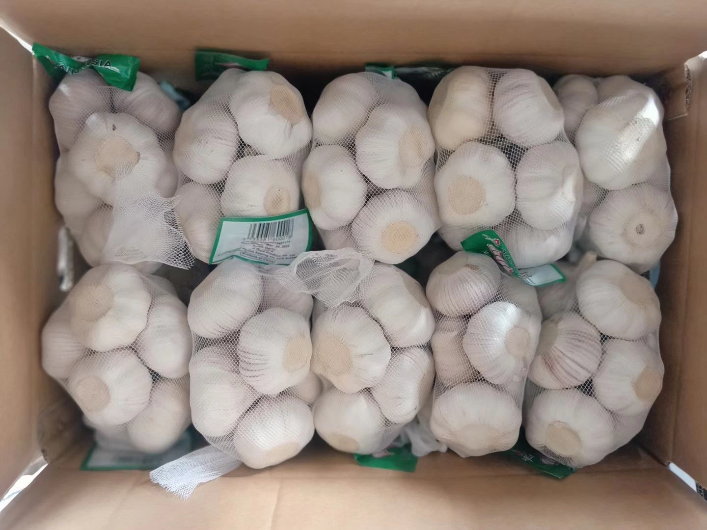 Chinese Normal Pure White Garlic with Bag/ Carton Packing