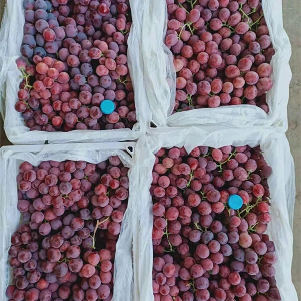 Fresh Xinjiang Good Quality Delicious Red Grapes