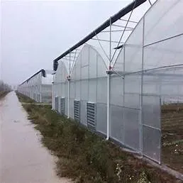 Building Materials/ PC Greenhouse/Polycarbonate Sheet/