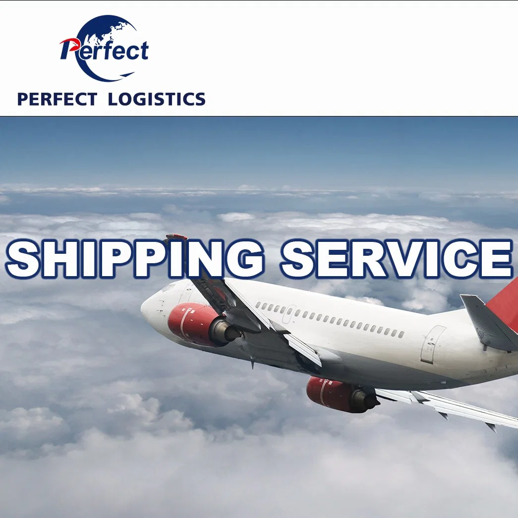 Sea Freight China Logistics Transportation Lithium Battery by Shipping Services Msc Dg Door to Door Service