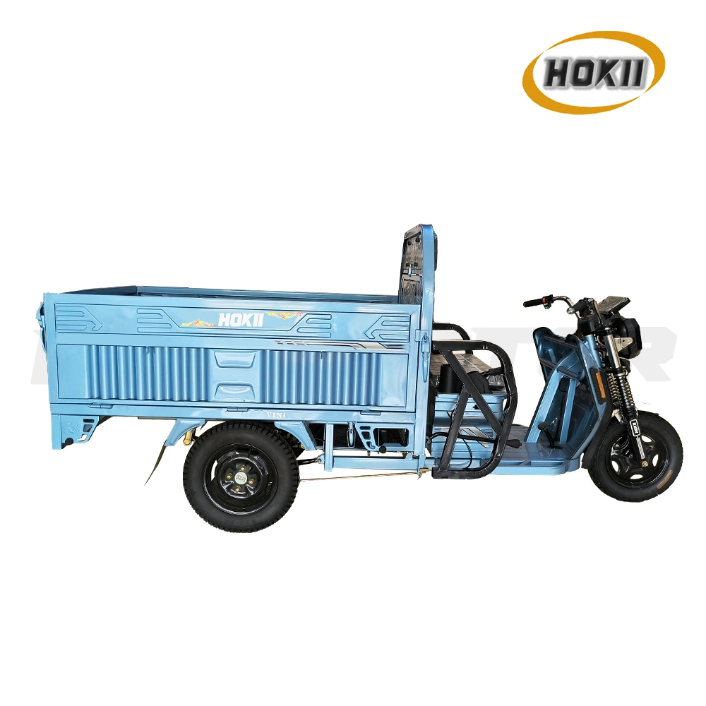 Fabricant chinois de tricycles a produit un nouveau design de tricycle électrique à moteur de 1200W pour adultes, utilisé pour le transport de marchandises à 3 roues à vendre.