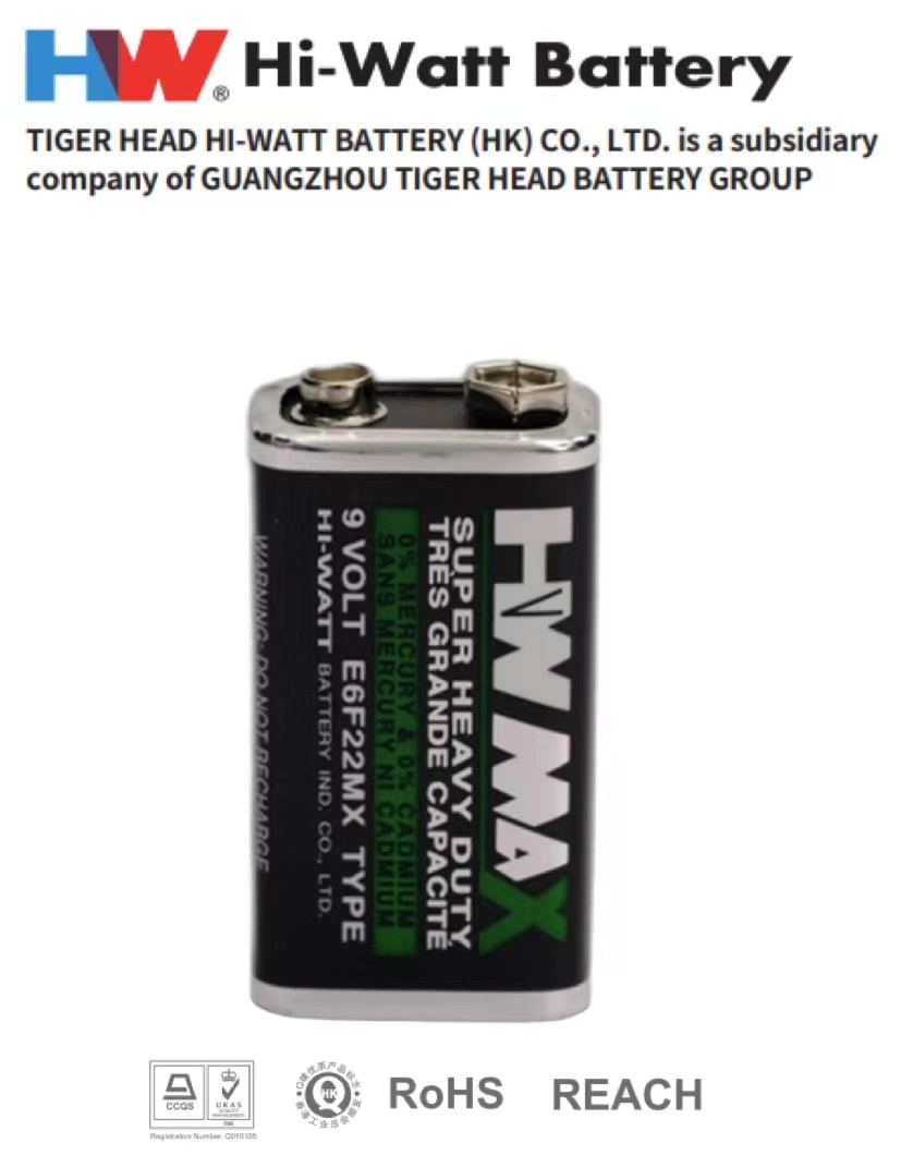 9V Battery 6f22 for Wireless Microphones/Multimeters/Remote Controls/Cameras/Portable Light Lanterns