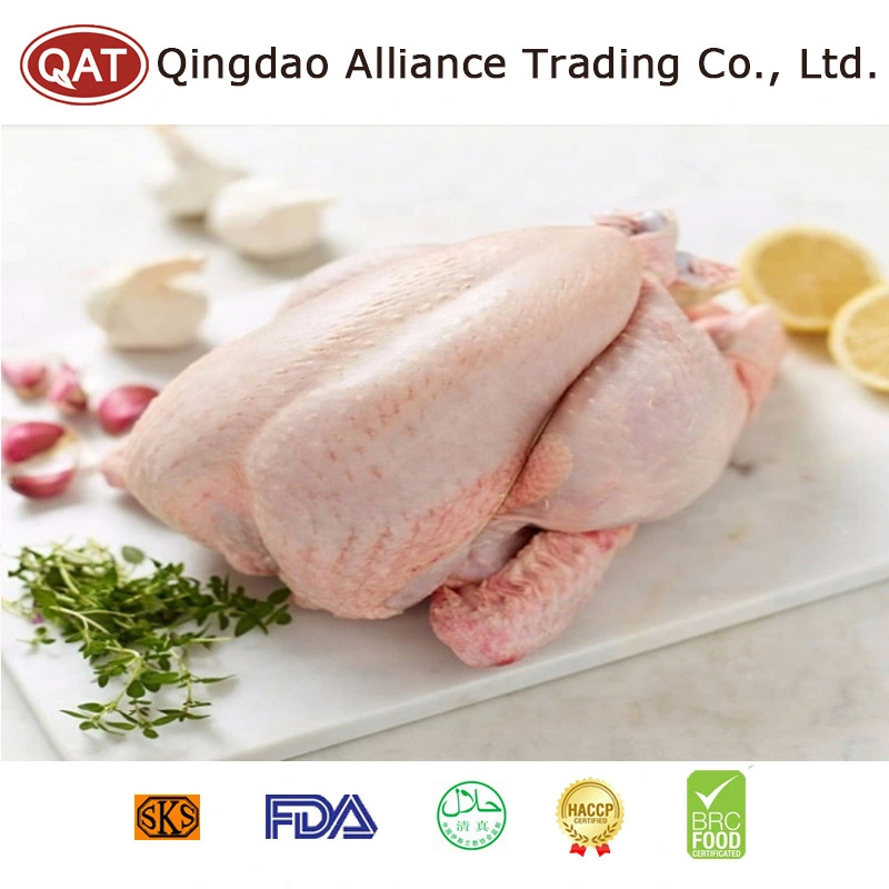 Halal Frozen Whole Duck Meat Peking Duck Export Supplier