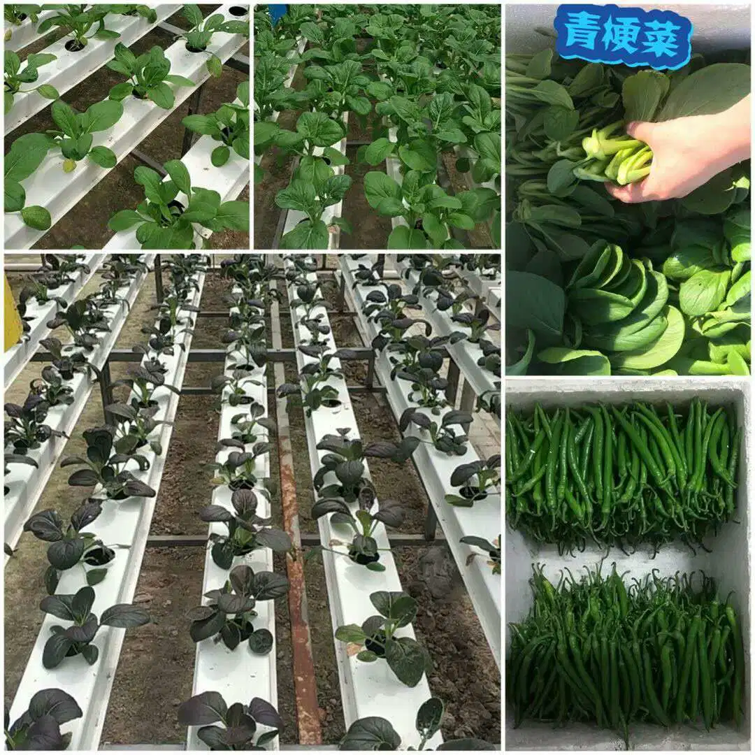 UV Protected Food Grade Nft Hydroponic Pipe