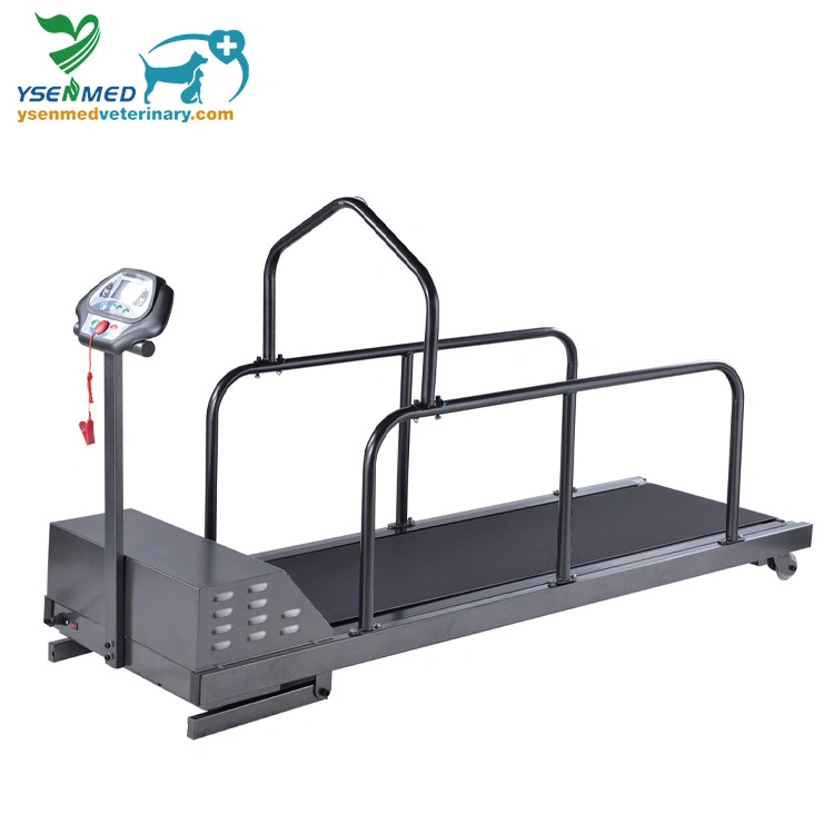 Ysvet-TM350wg Medical Equipment Veterinary Clinic Training Treadmill