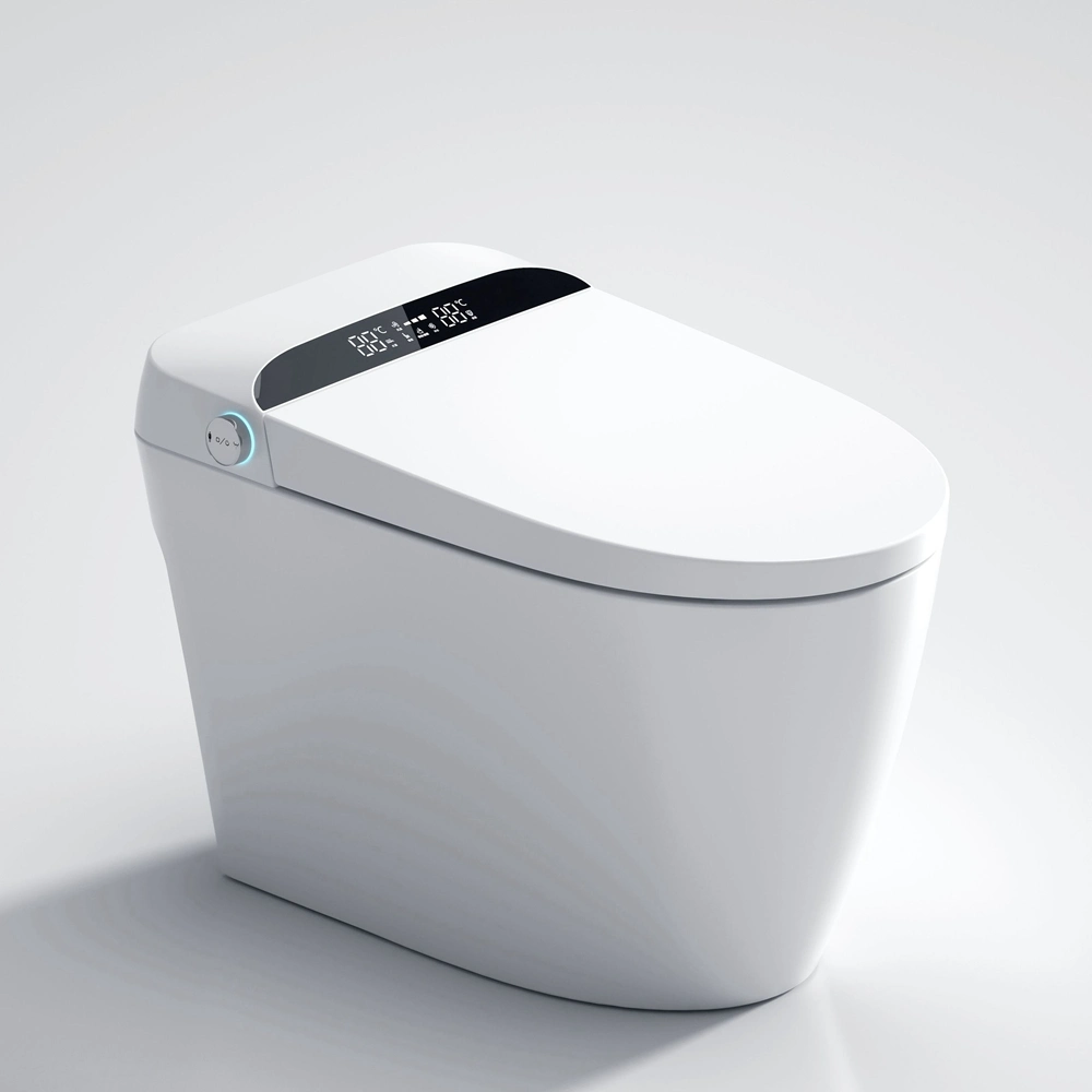 CE OEM Support Bathroom Smart Bidet Automatic Toilet