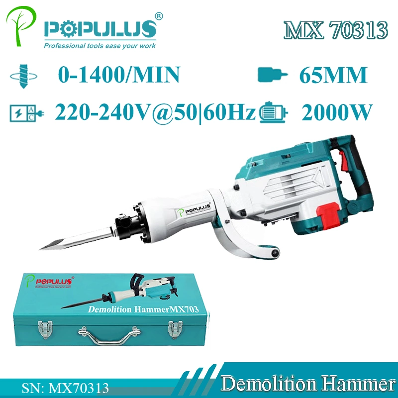 Populus New Arrival Industrial Quality Dca Interchangeable Demolition Hammer pH65A Power Tools Hammer 2000W for Turkish Market