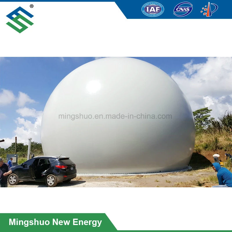 Constant Pressure Membrane Gas Dome Biogas Balloon Gas Storage Tank