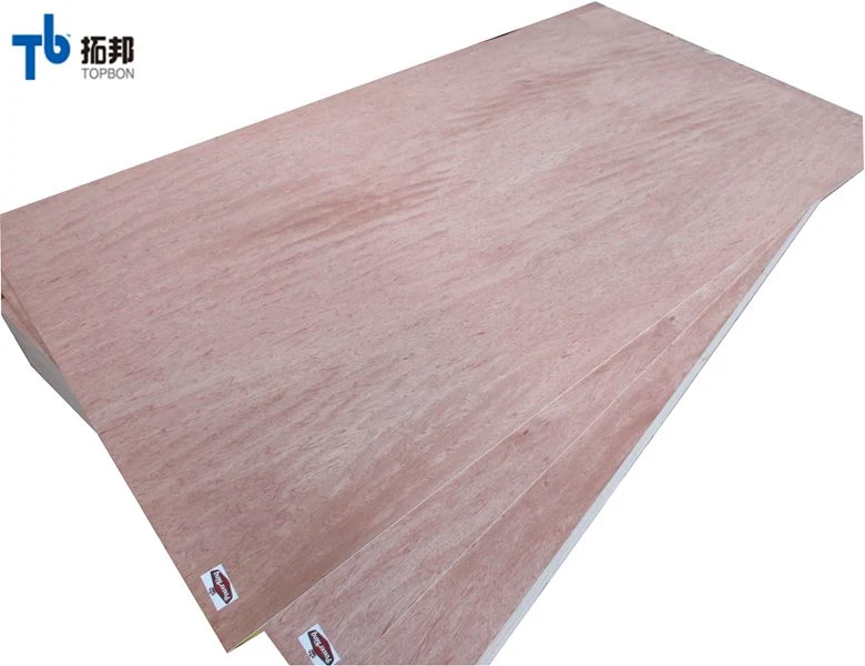 China Linyi Factory 1220 * 2440mm Poplar Kern Commercial Sperrholz