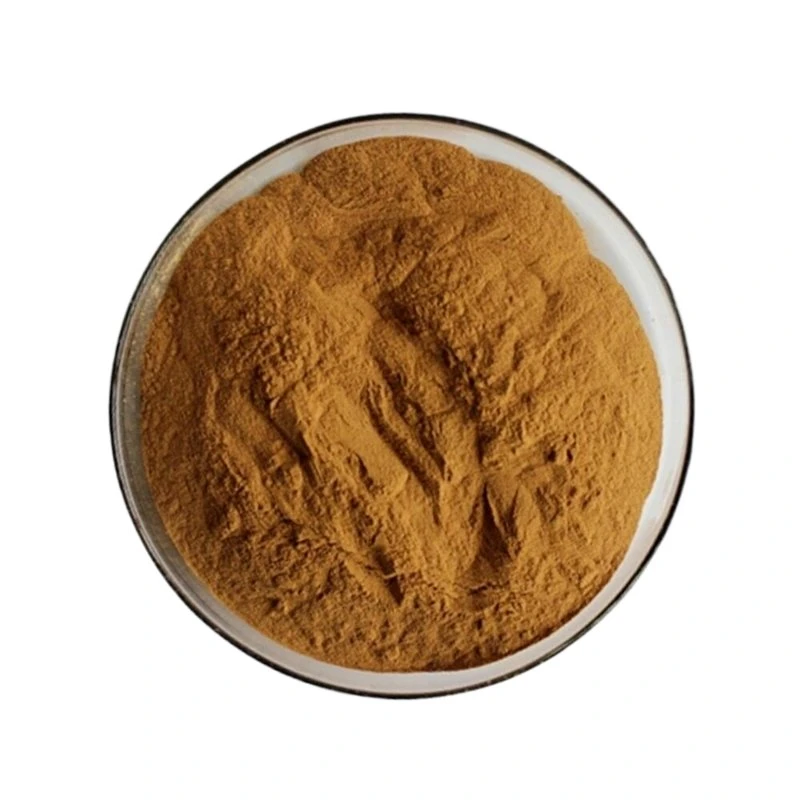 Ginkgo Leaf Powder Ginkgo Biloba Folium Extract Powder Ginkgo Biloba Extract