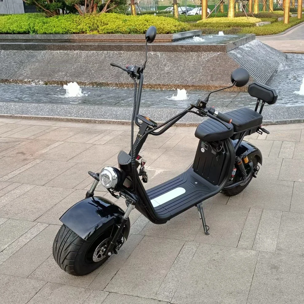 2 Wheel EEC CE Certification 2000W Adult Smart Electric Motorcycle Citycoco Bike