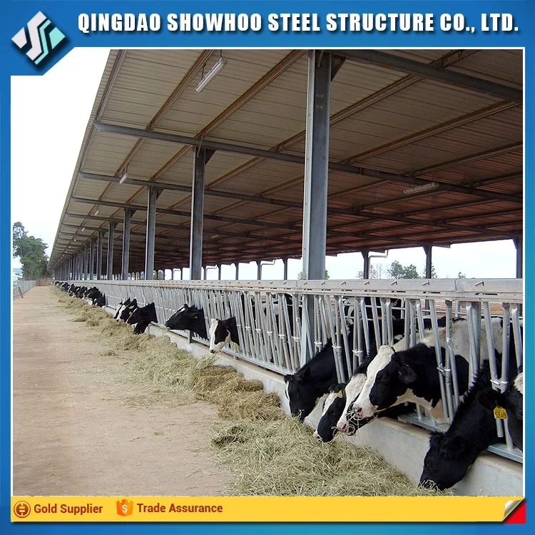 Durable and Cheap Cattle Housing with Factory Design