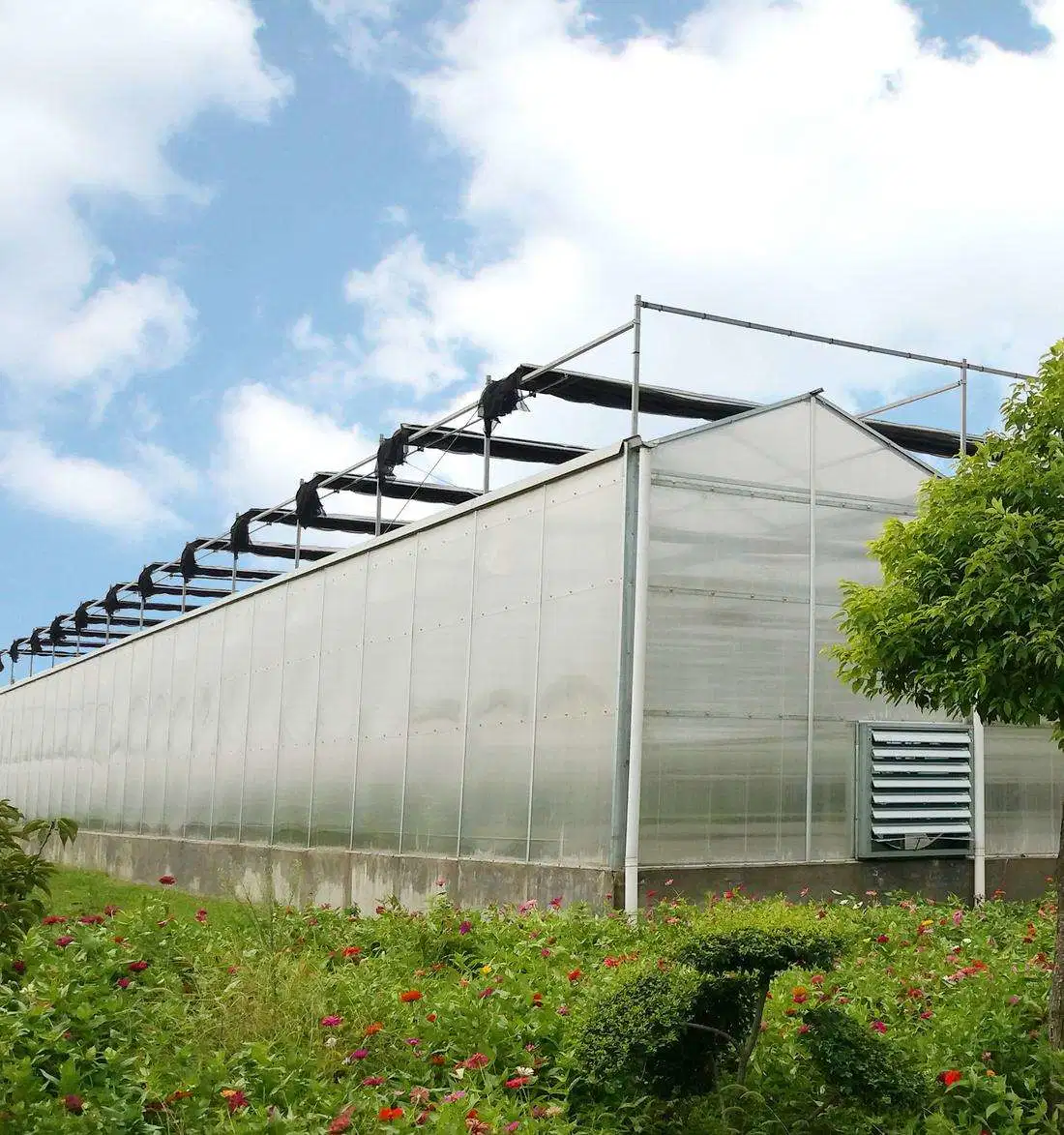 Agricultura Multi Span Venlo Polycarbonate Plate Greenhouse con sistema de ventilación