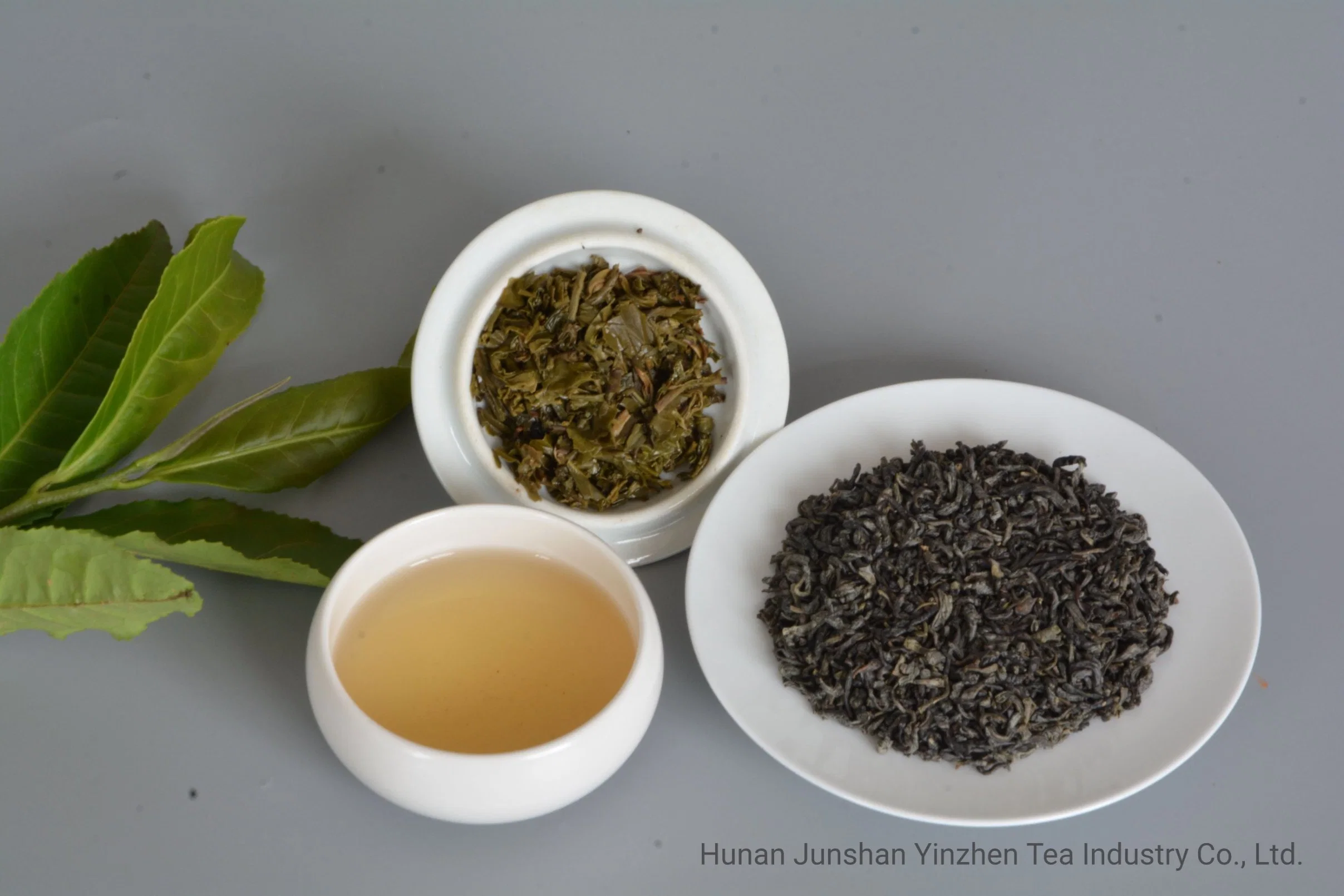 41022 d'alimentation de haute qualité en usine le thé vert