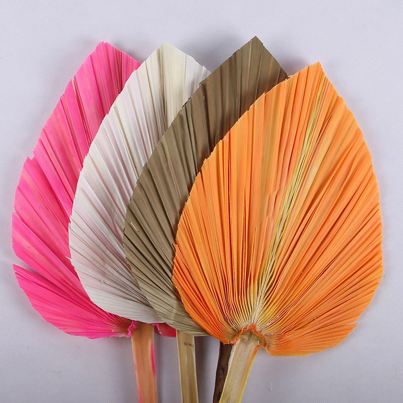 Artificial Centerpiece Leaf Natural Plant PU Fan Leaf Banana Palm Leaf Dry Flower Arrangement