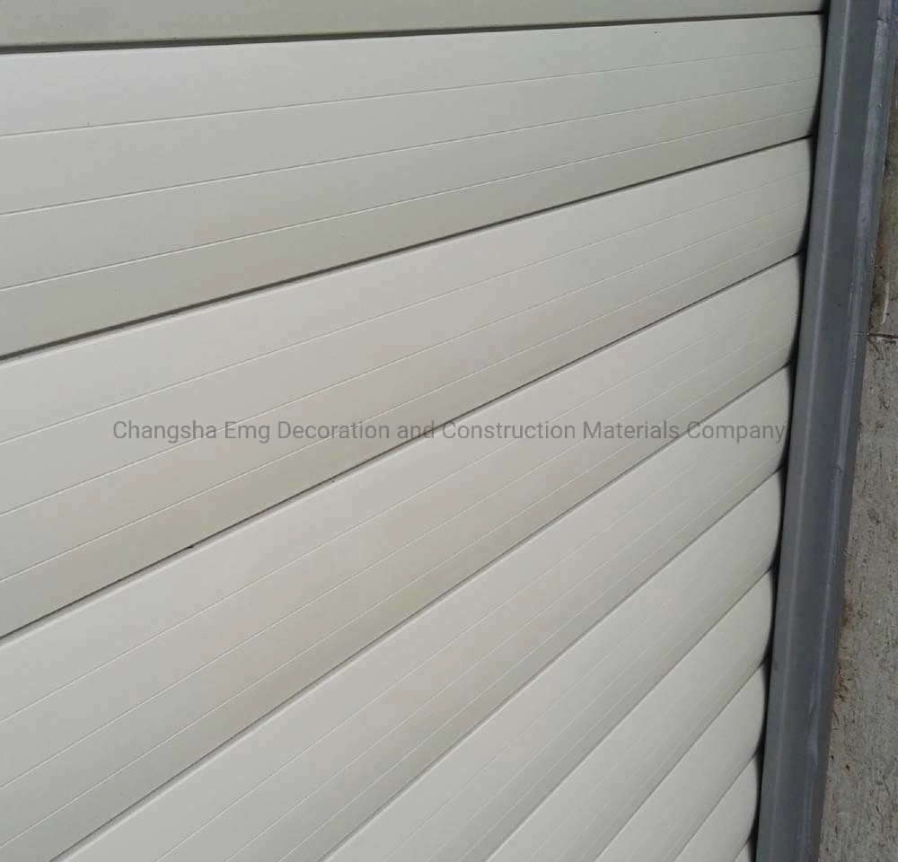 High quality/High cost performance  Extruded Aluminium Roller Rolling Shutter Garage Interior Exterior Door