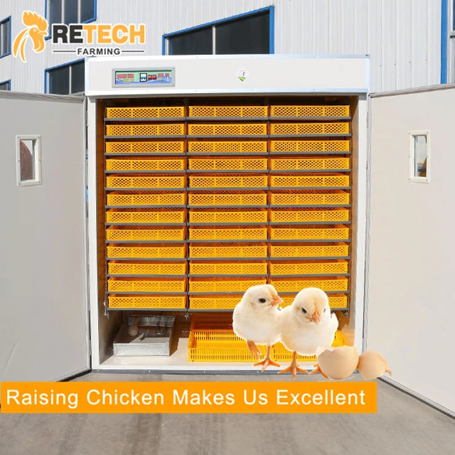 Geflügelfarm Hühner automatische Eierinkubatator für 5000 Eier