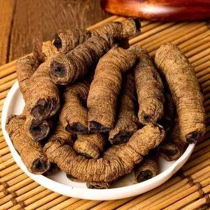 صيغة باجايتي غرانولي مورنداي offinalis radix الصينية التقليدية مستخرج الأعشاب