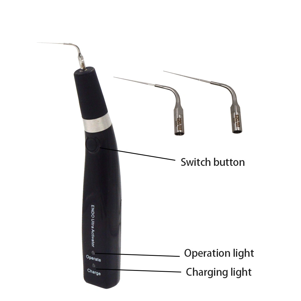 Dental Implant Multifunctional Dental Endo Ultrasonic Activator with Low Price