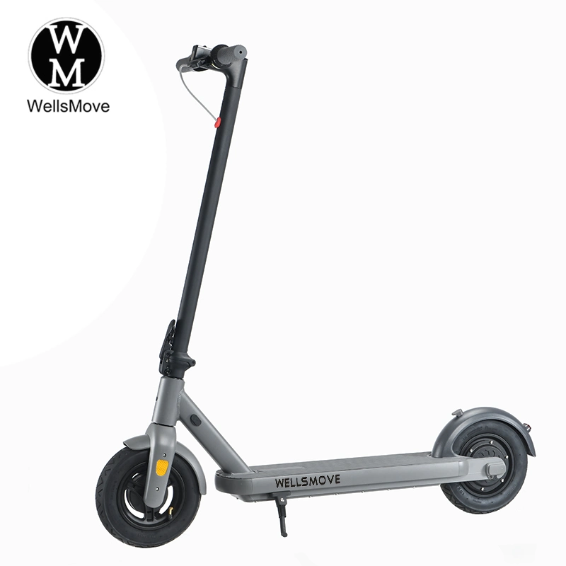 Scooter Electric 500W 48V 10ah 10inch Electro Foldable Two Wheel