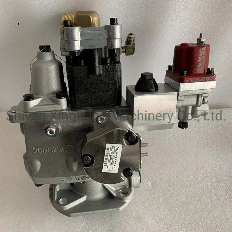 Marine Motor Ccec Kta19 Teile Ptg-Vs-Afc Kraftstoffpumpe 3202268/3655965