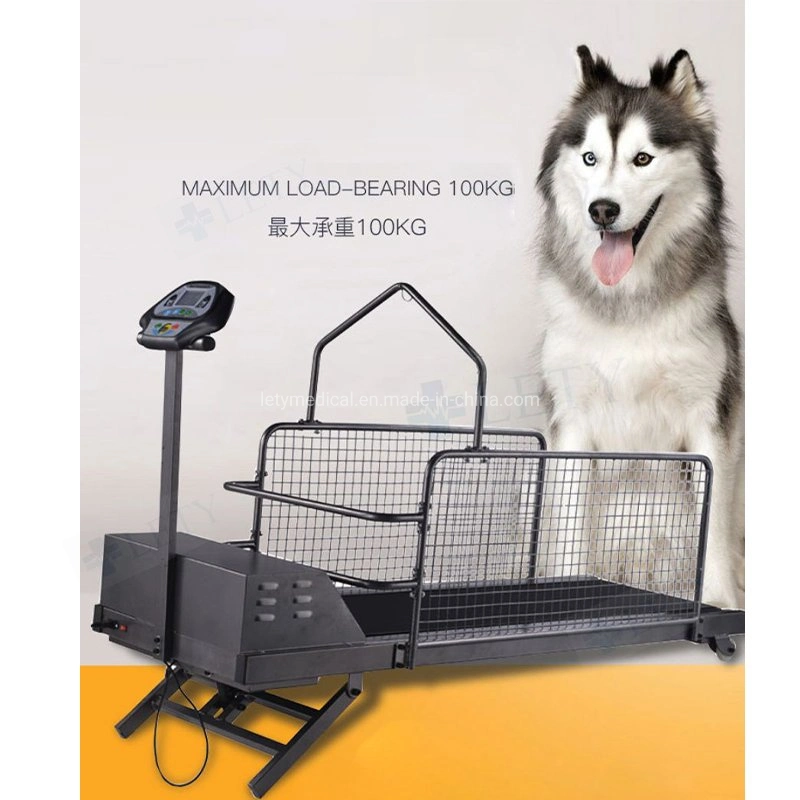 Factory Price Dog Training Treadmill for Dog Running Dog Walking Treadmill