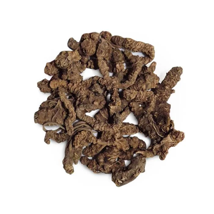 Traditional Chinese Herbal Medicine Xie Cao Gen Chinese Natural Dried Valerian Root