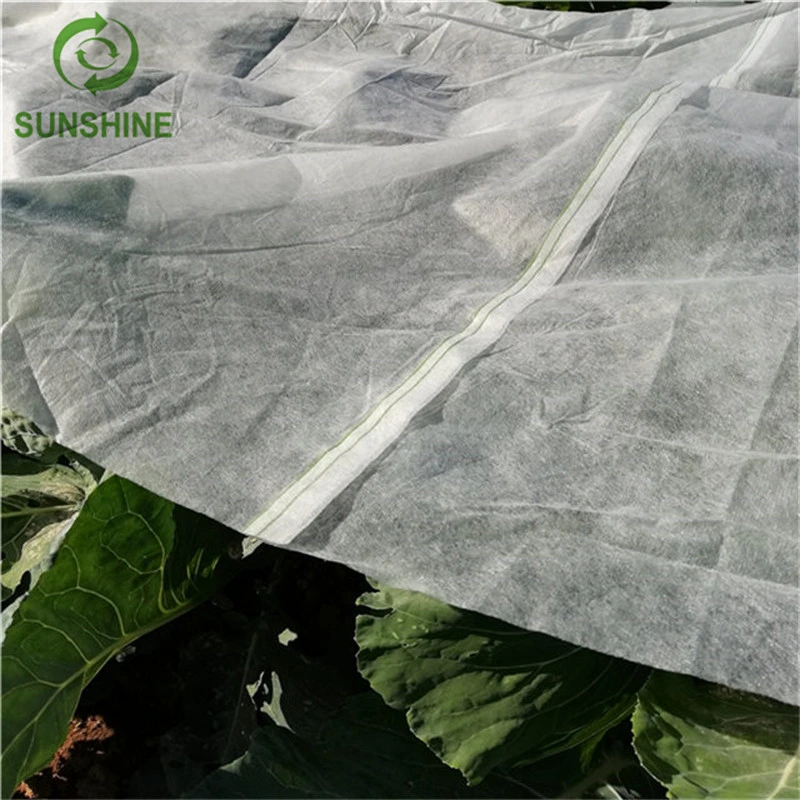 Tissu non tissé en polypropylène 100% blanc pour couverture agricole protégeant les plantes.