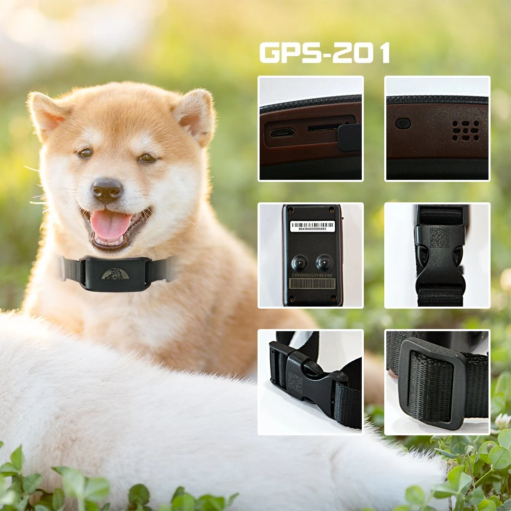 Anti Lost Mini Device GPS 201 Pet Geo Fence Report Pérdida con el collar seguimiento perro gato Pet Tracker