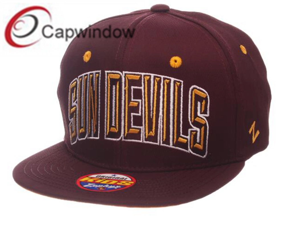 Snapback Hat OEM Headwear with Superior Quality Cap (65050099)