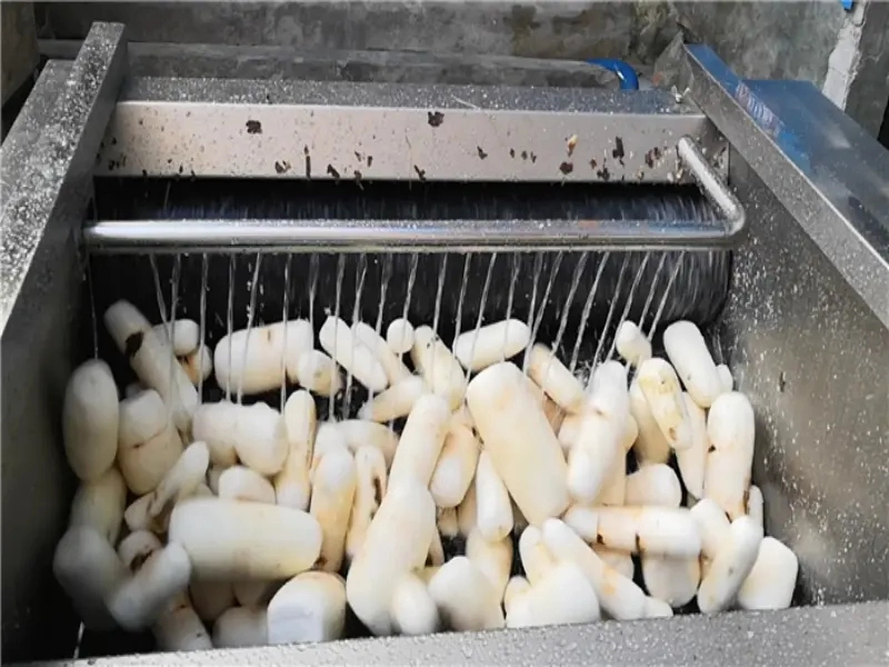 Automatic Carrot Washing Peeling Cassava Potato Skin Cleaning Manioc Peeler Machine