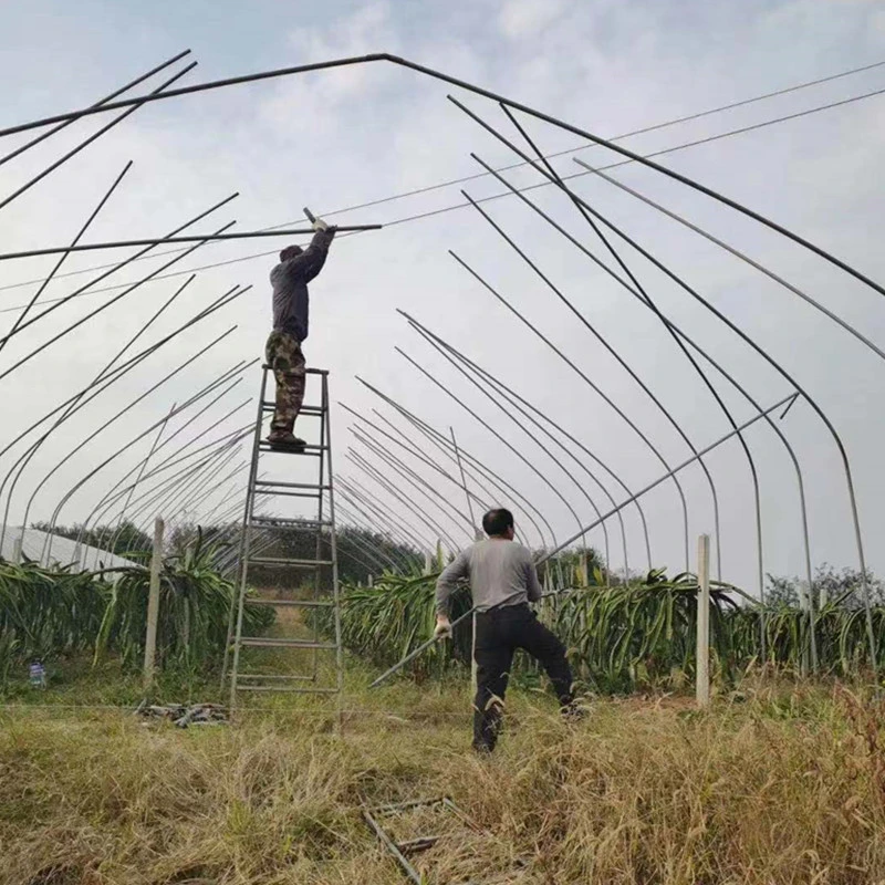 High-Quality Greenhouse with Galvanized Steel Frame and Innovative Processing Techniques