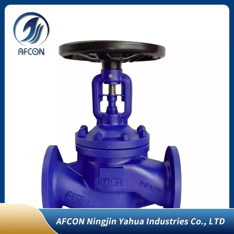 Industrial/Sanitary Full Bore Threaded Stainless Steel Floating Check Valve/Filter/Globe Valve