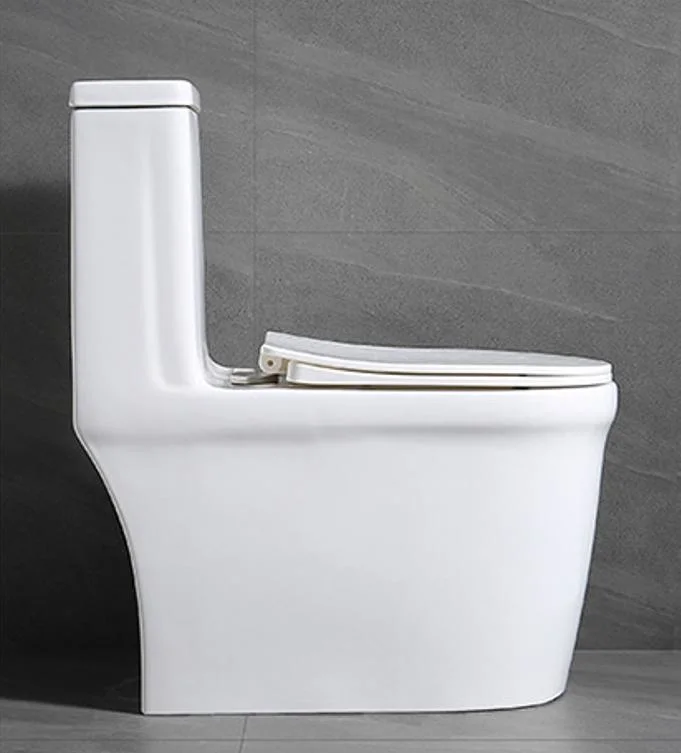 One Piece Toilet with Comfort Chair Seat Dual Flush White Toilet Bowl