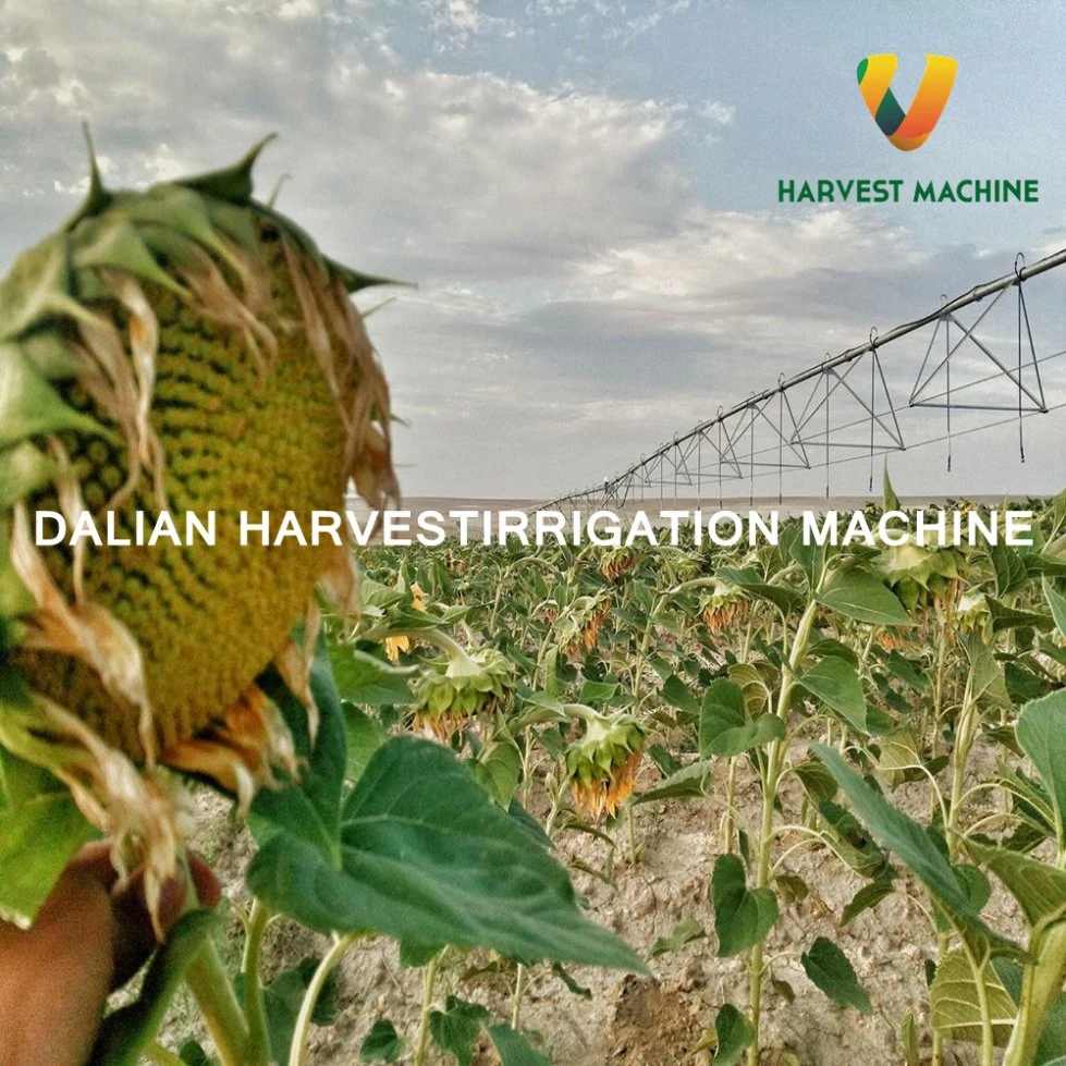 Best Quality Central Pivot Irrigation System with Diesel Engine Used for Large Flield