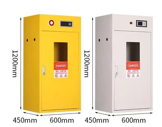 Steel Gas Cylinder Cabinet OEM Laboratory Furniture Laboratory Special Gas Cylinder Cabinet