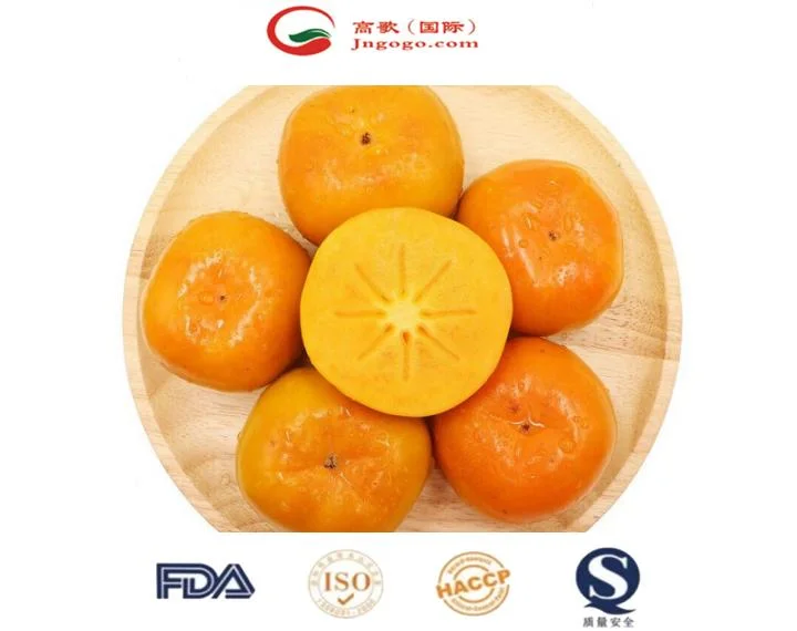 High quality/High cost performance Fresh Crispy Persimmon Professional Supplier From China