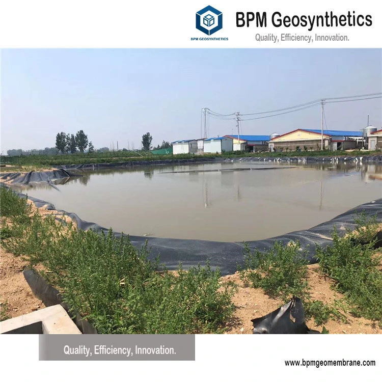 25X30 Solid Geomembrane Pond Liner Geomembranes for Reservoir in Indonesia