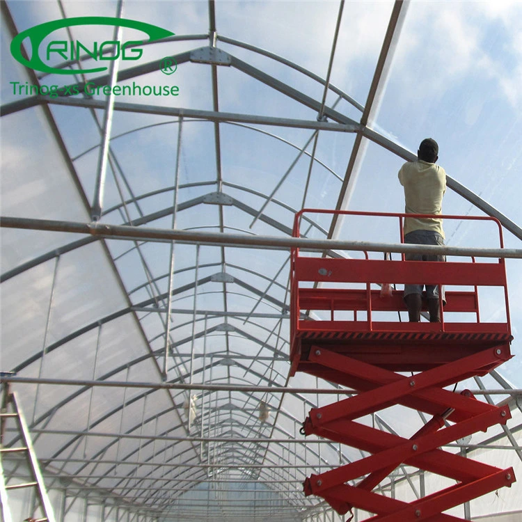 Hot Sale Agricultural Single Span Film Greenhouse for Vegetables