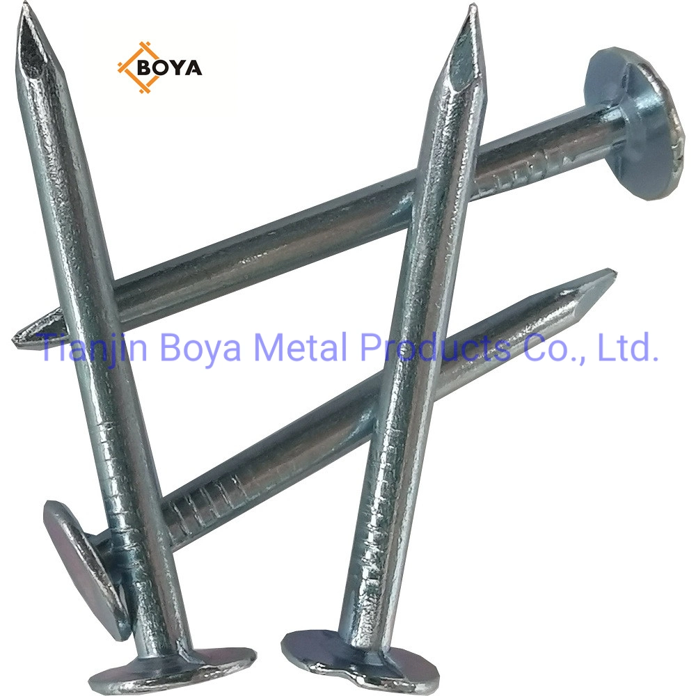 China Galvanized Large Head Clout Nails /Big Head Nail/Roofing Nail