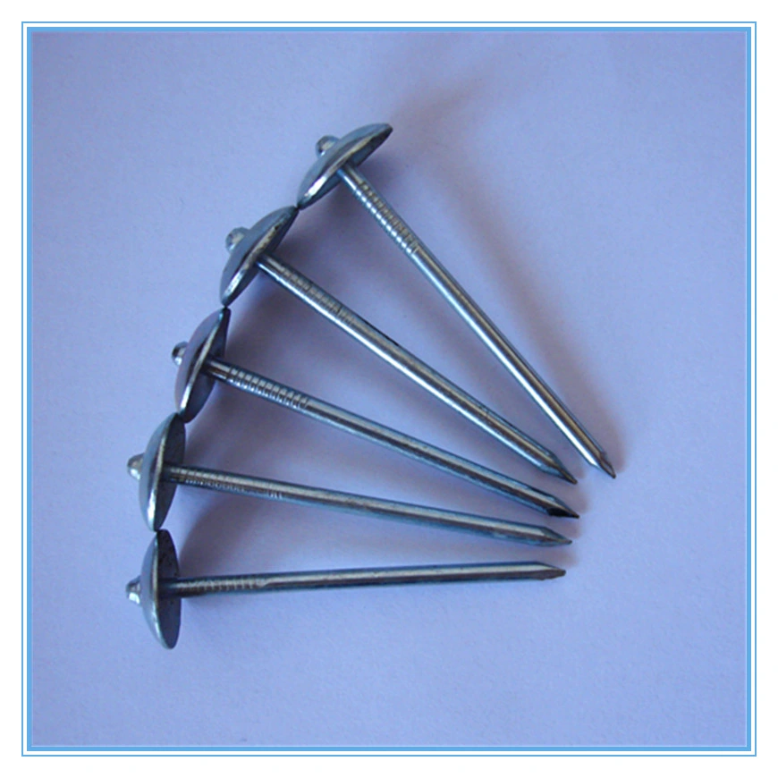 Hot Sales Umbrella Head Smooth Shik Roofing Nail