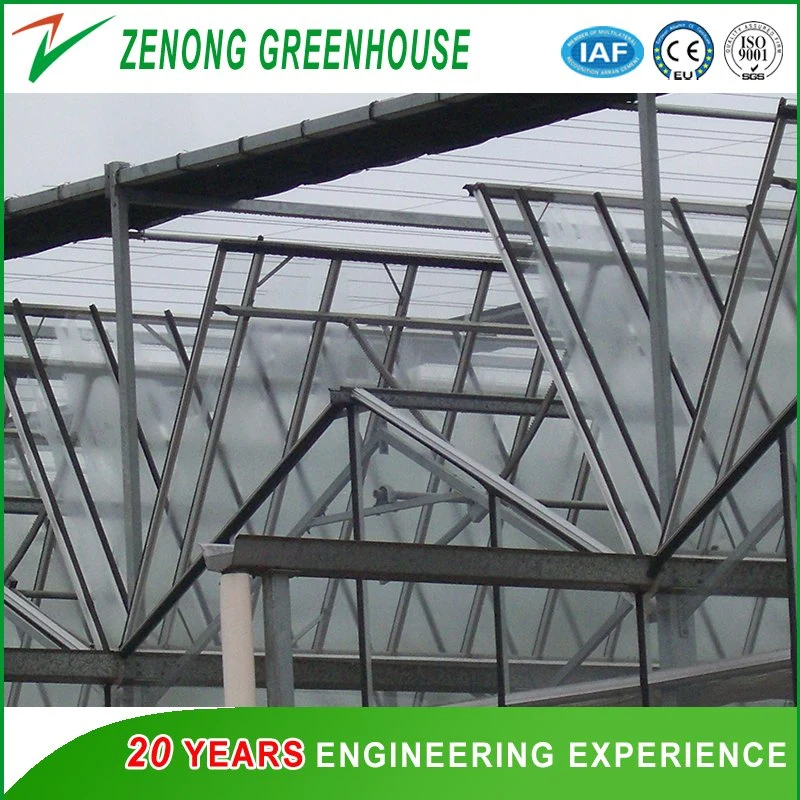 Large Size Glass Multi-Span Intelligent Greenhouse with Automatic Control system for Ecological Hotel/Sightseeing/Fruit