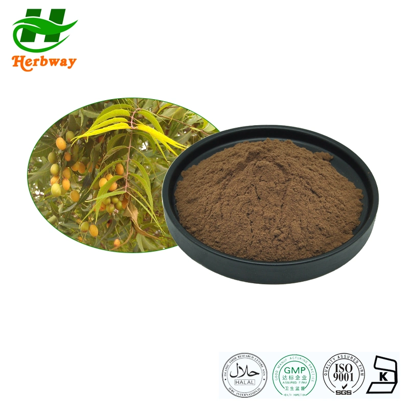 100% Pure Natural Neem Tree Extract Azadirachtin 10% 25% Powder Lower Blood Pressure and Cholesterol.