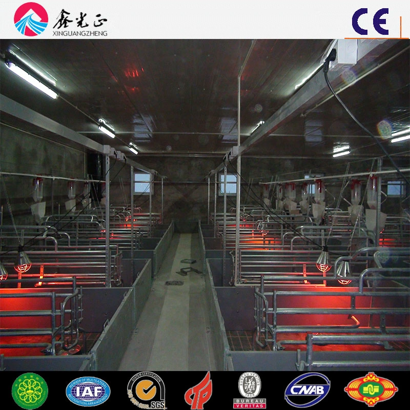 Automatic Pig Farming Feeder System for Pig House